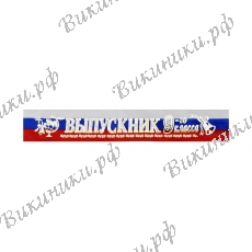 Ленты Выпускник 9-го класса (триколор, шёлк)