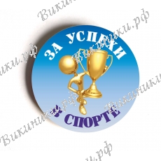 Значок - За успехи в спорте