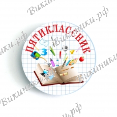 Значки Пятиклассник