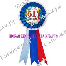 Значок-розетка - ... класс - бело-синяя